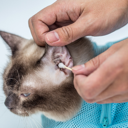 Pet Soft Cat Grooming Bag for Nail Trimming and Bathing