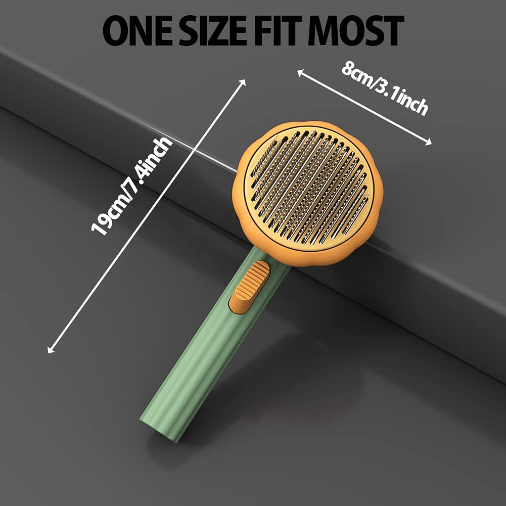 Self Cleaning Pet Pumpkin Brush