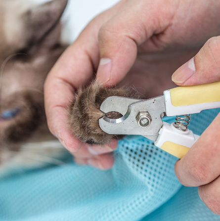 Pet Soft Cat Grooming Bag for Nail Trimming and Bathing