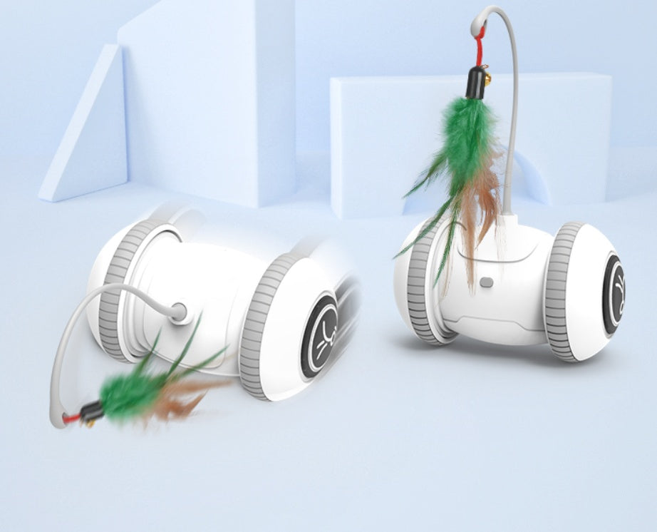 Interactive Cat Feather Toy for Indoor Play