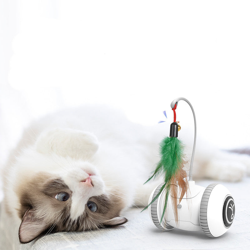 Interactive Cat Feather Toy for Indoor Play