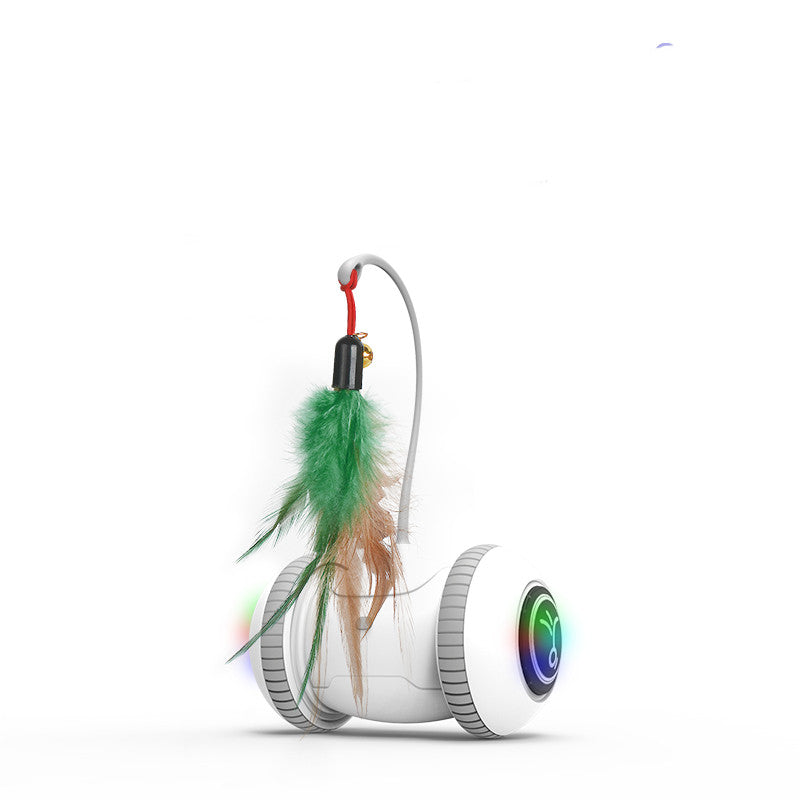 Interactive Cat Feather Toy for Indoor Play