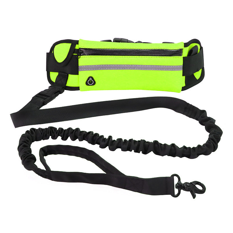 Hands Free Dog Leash with Bungee for Large Dogs