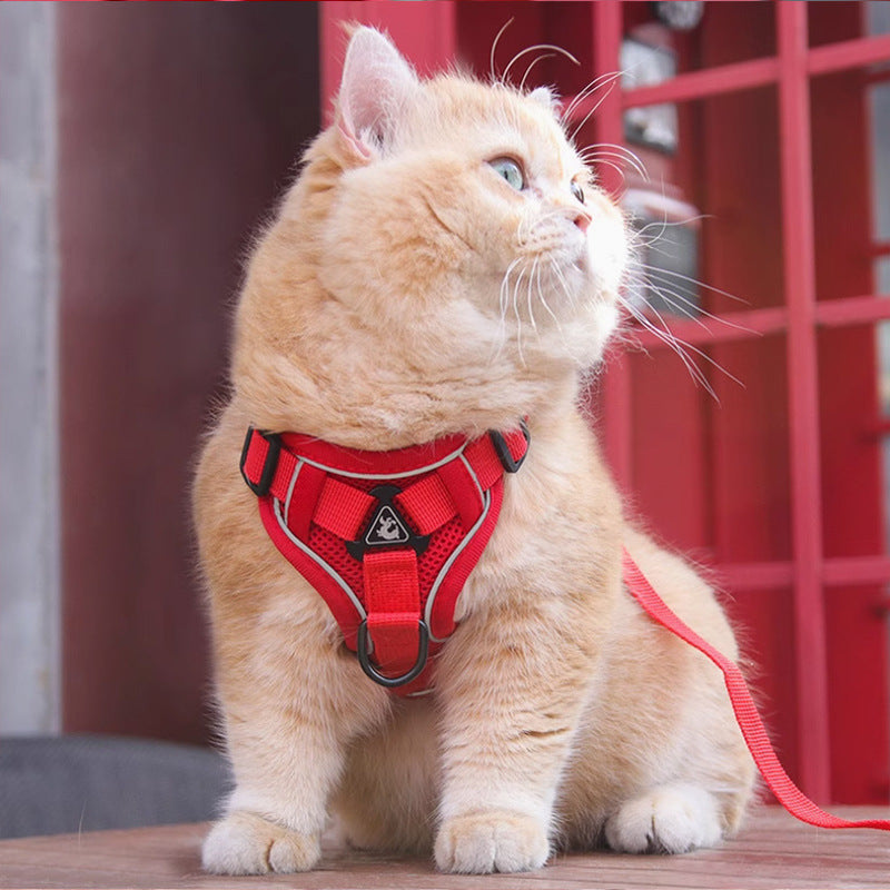 Cat Harness Vest with Leash for Safe Outdoor Walks