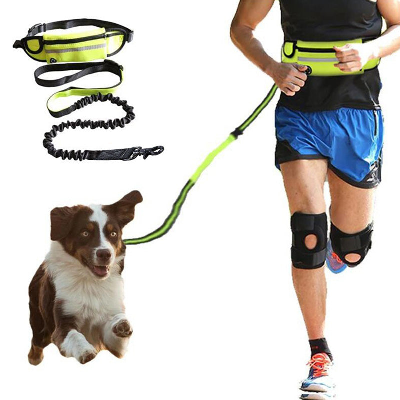 Hands Free Dog Leash with Bungee for Large Dogs