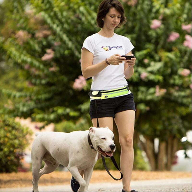 Hands Free Dog Leash with Bungee for Large Dogs