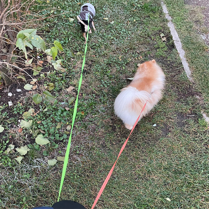 360 Swivel Retractable Dog Leash with LED Light
