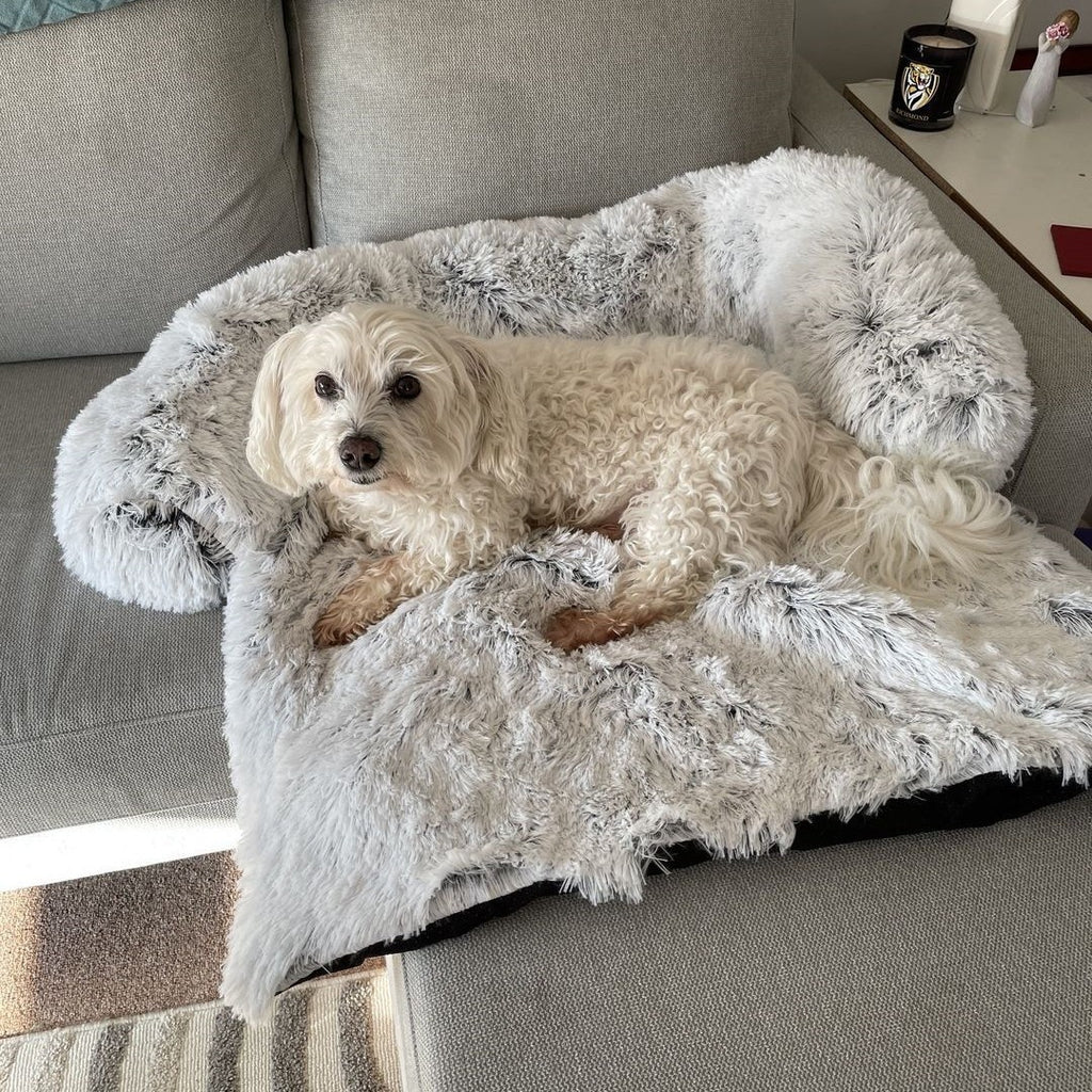 Cooling Dog Bed for Dogs and Cats