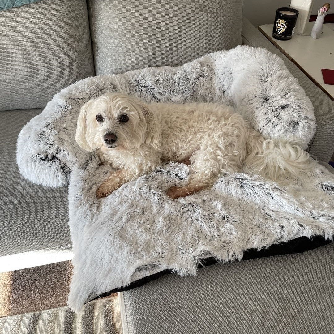Cooling Dog Bed for Dogs and Cats
