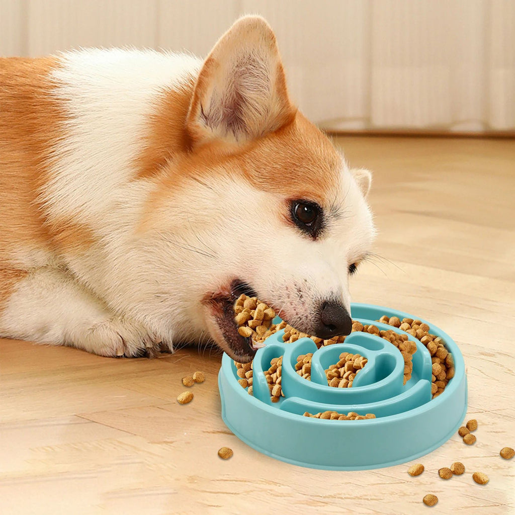Anti-Gulping Slow Feeder Bowl for Dogs and Cats