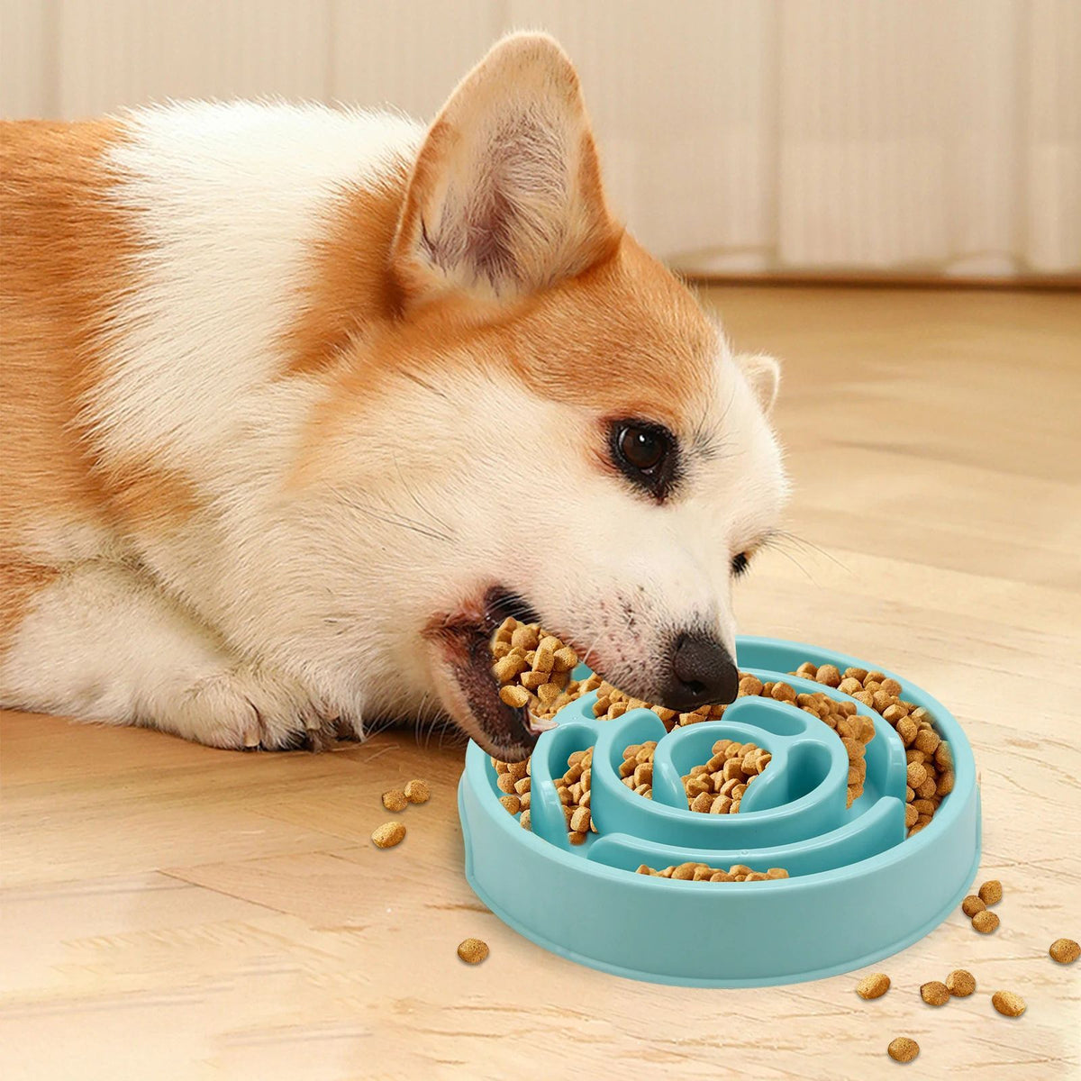 Anti-Gulping Slow Feeder Bowl for Dogs and Cats