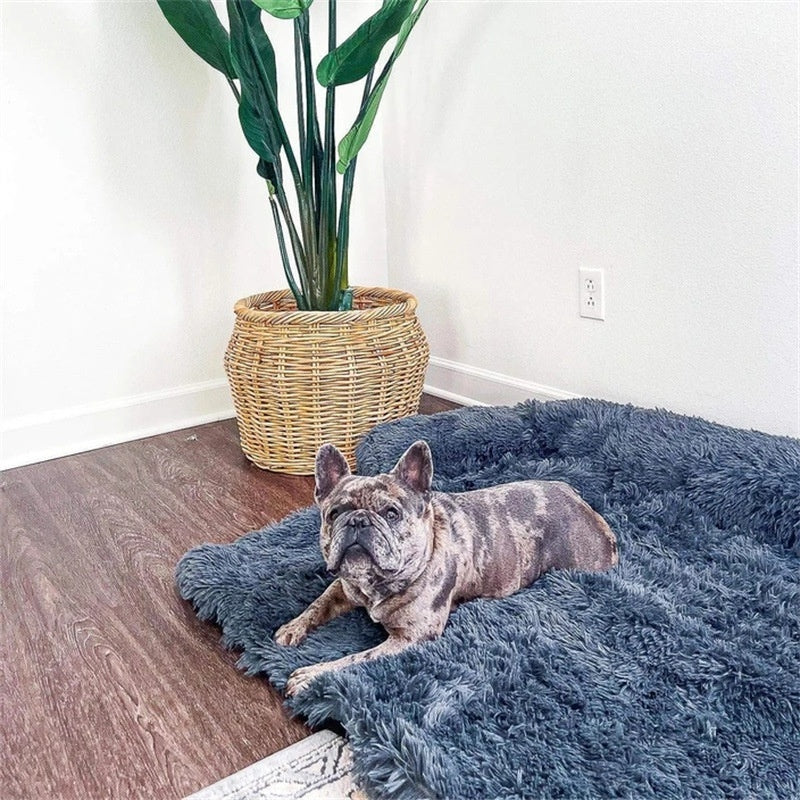 Cooling Dog Bed for Dogs and Cats