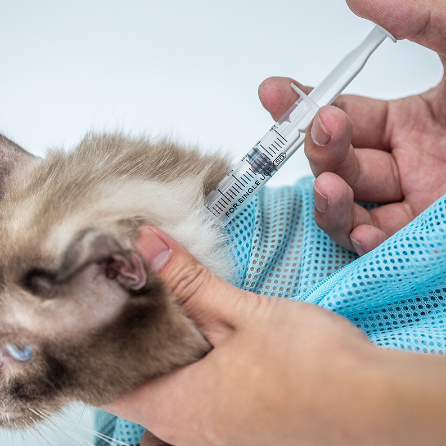 Pet Soft Cat Grooming Bag for Nail Trimming and Bathing