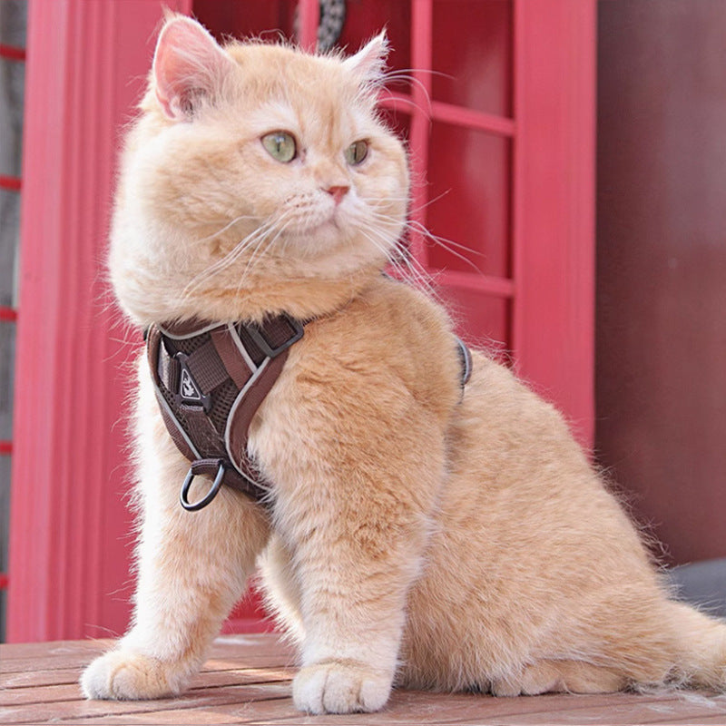 Cat Harness Vest with Leash for Safe Outdoor Walks