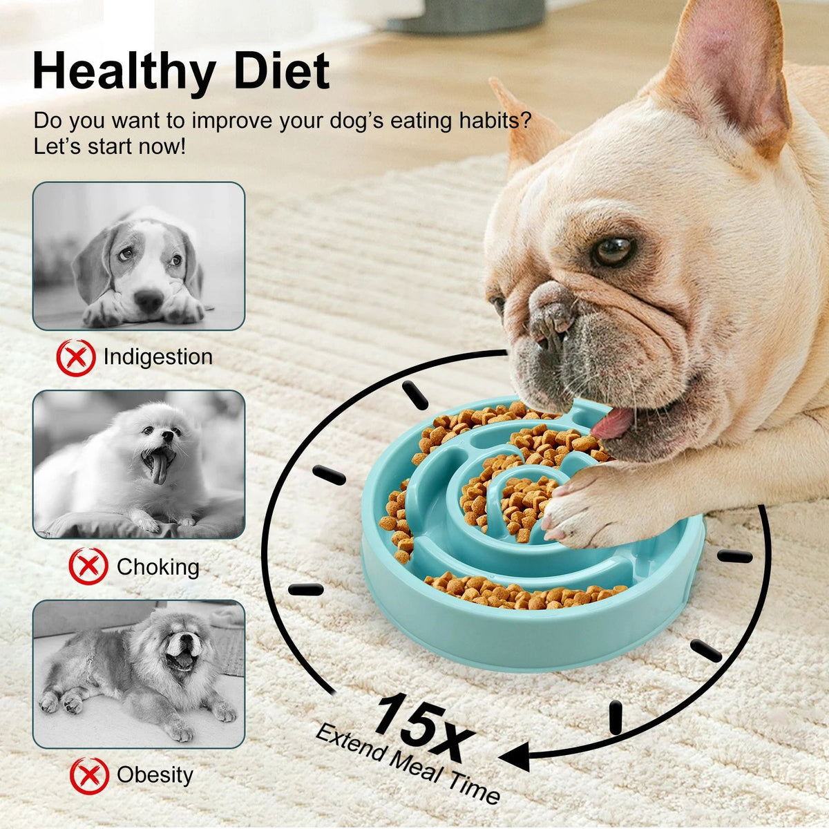 Anti-Gulping Slow Feeder Bowl for Dogs and Cats
