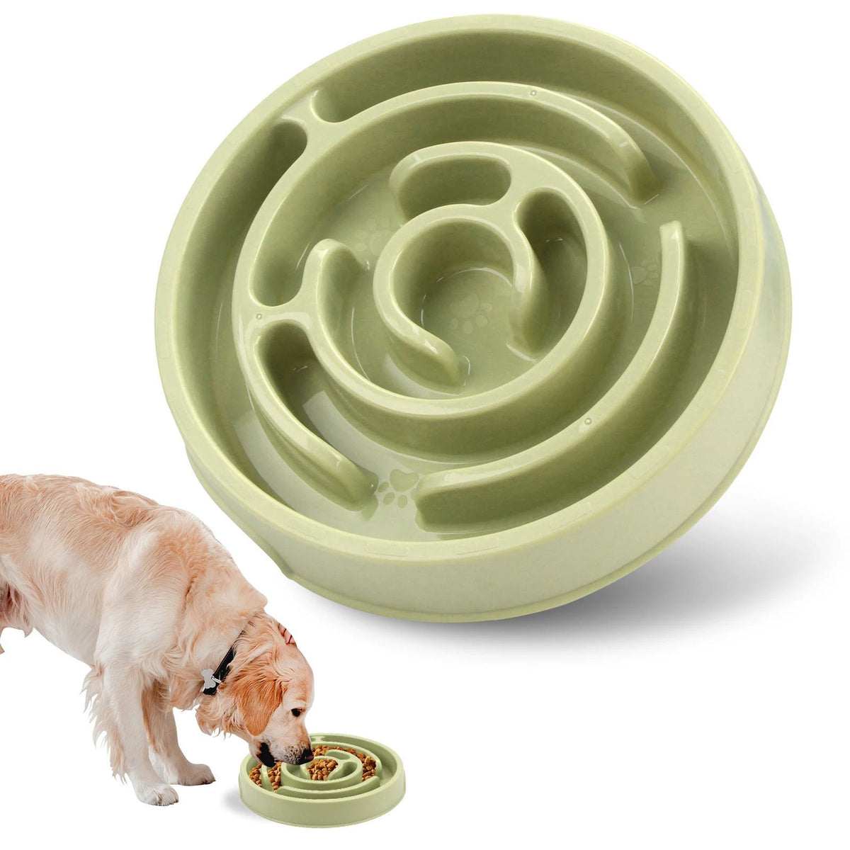 Anti-Gulping Slow Feeder Bowl for Dogs and Cats