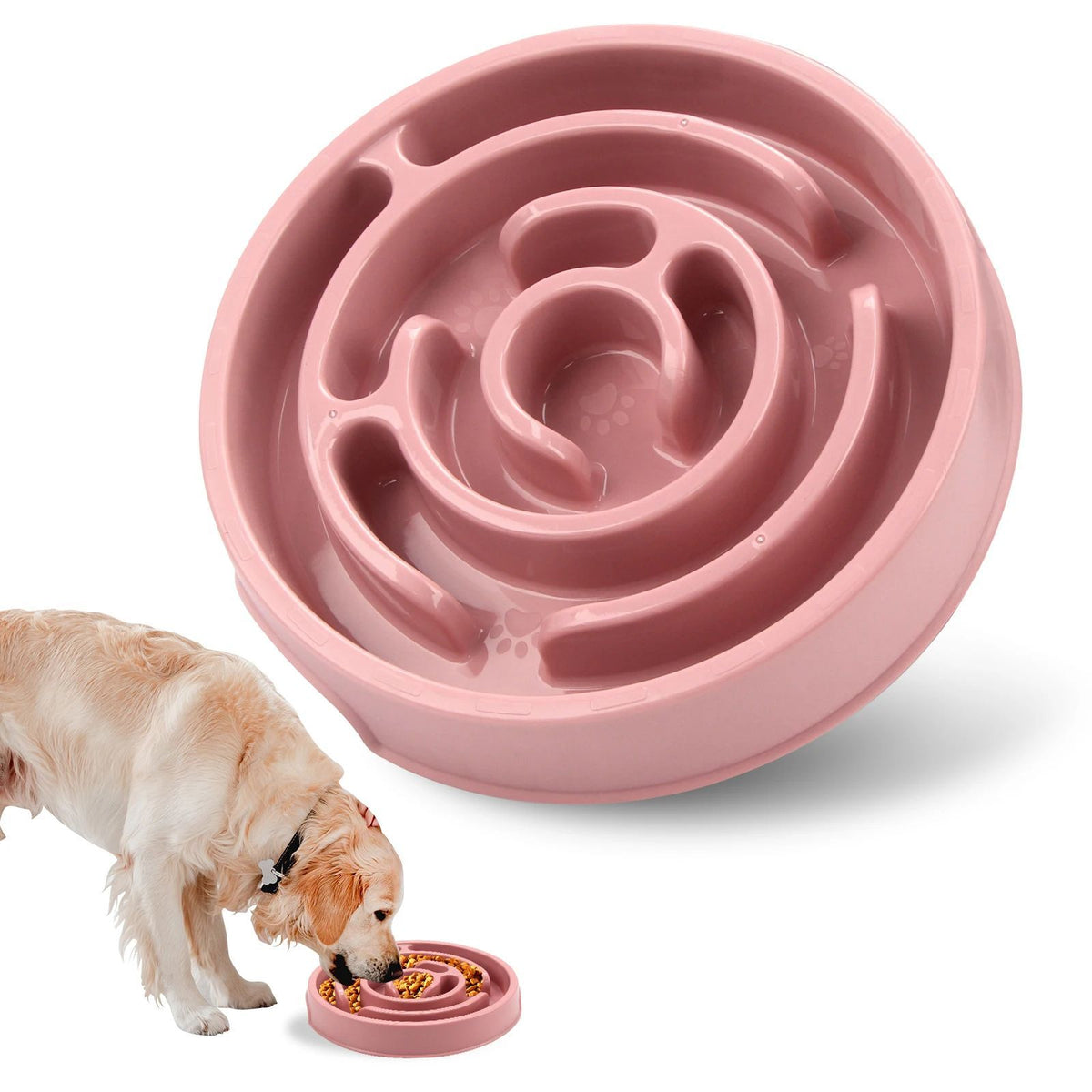 Anti-Gulping Slow Feeder Bowl for Dogs and Cats