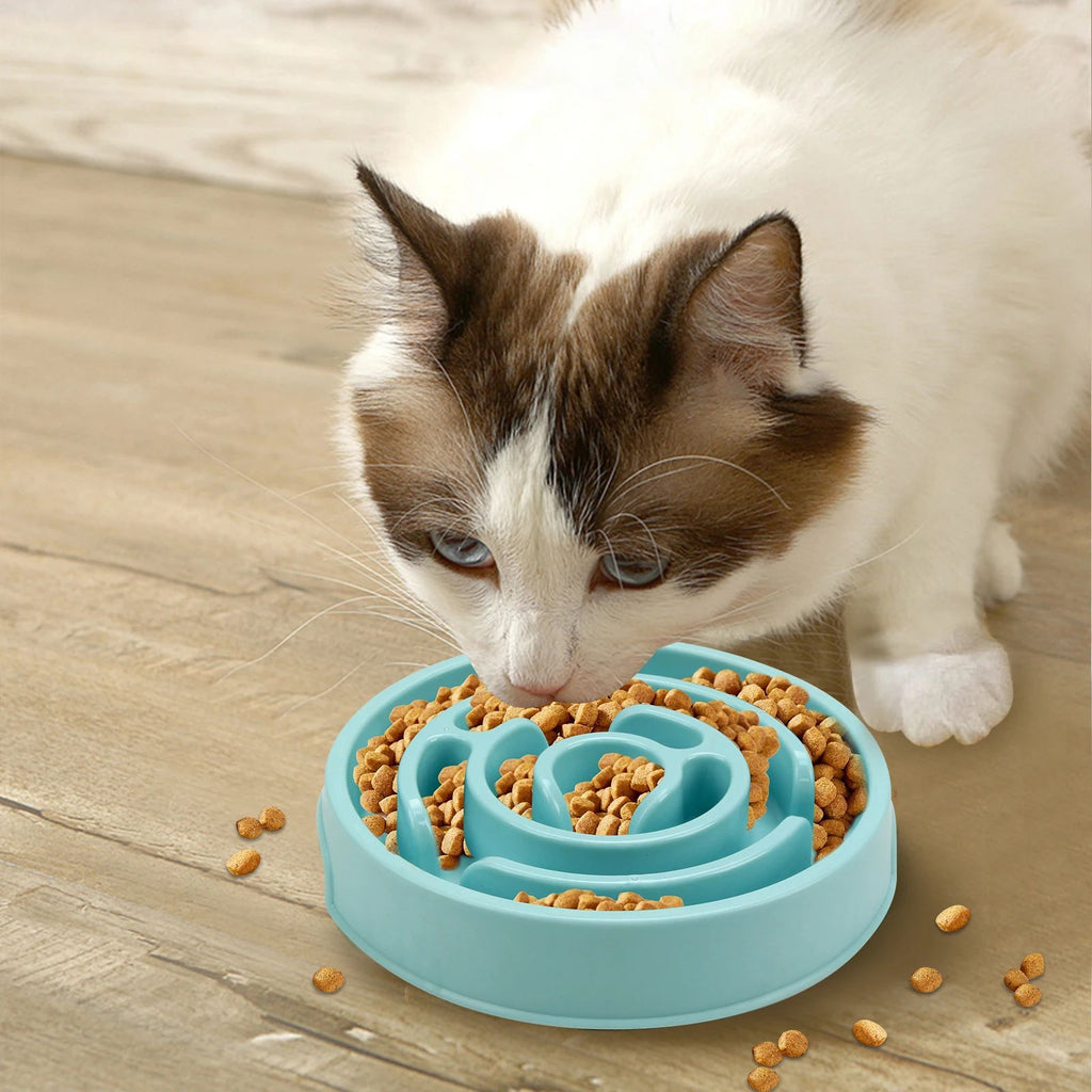 Anti-Gulping Slow Feeder Bowl for Dogs and Cats