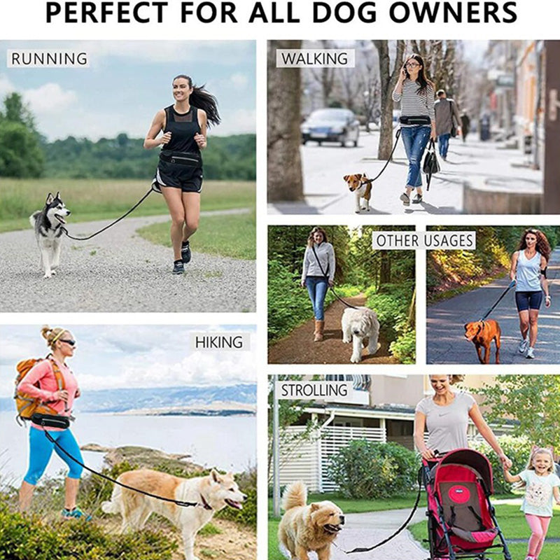 Hands Free Dog Leash with Bungee for Large Dogs