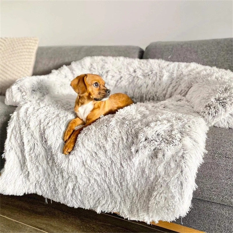 Cooling Dog Bed for Dogs and Cats