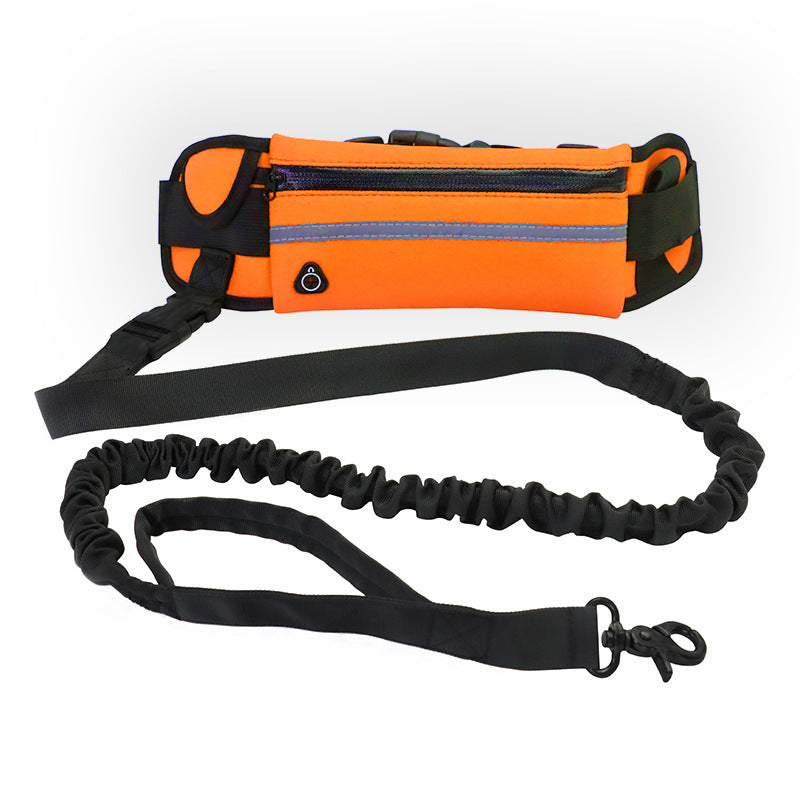 Hands Free Dog Leash with Bungee for Large Dogs