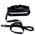 Hands Free Dog Leash with Bungee for Large Dogs