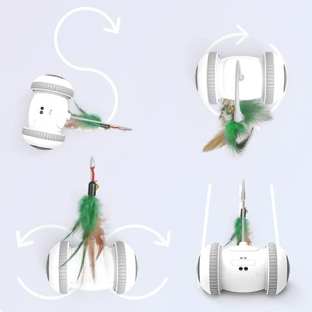 Interactive Cat Feather Toy for Indoor Play