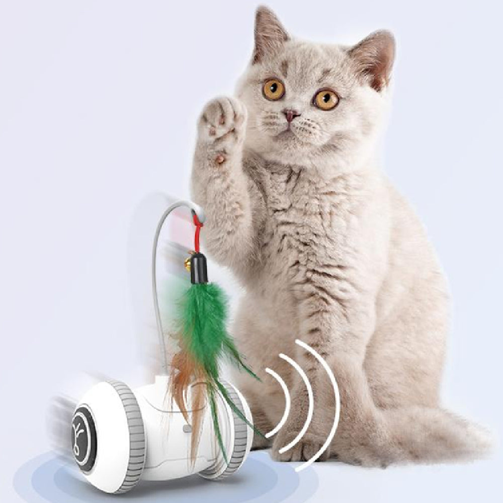 Interactive Cat Feather Toy for Indoor Play